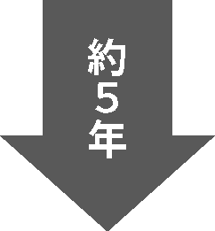 5年